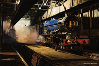 Timeline Events Photo Charter at Didcot Railway Centre - 11/11/2023.