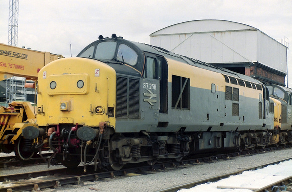 37258 Cardiff Canton.