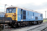 73005