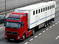 Duulop Horse Transport
